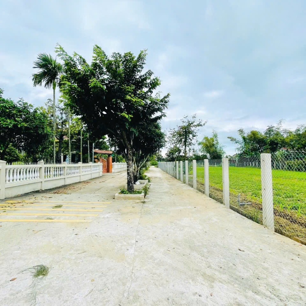 Bán lô đất nhà vườn 186m2, full đất ở, Điện Hồng, Điện Bàn chỉ 7xxtr