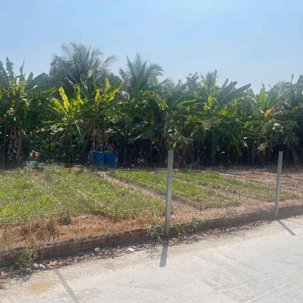Bán đất phú hữu ( cũ) Nhơn trạch. Đường Thành Hoà