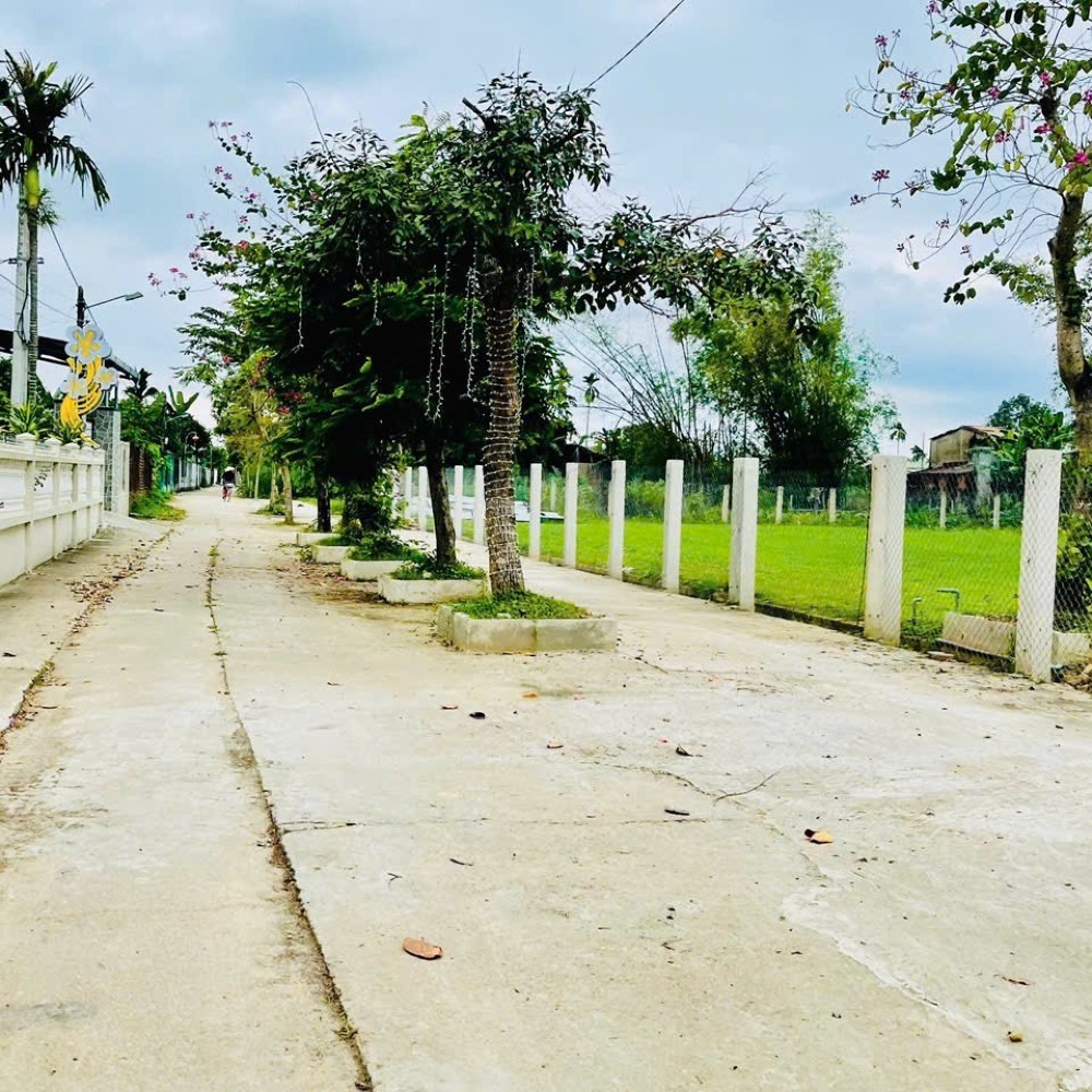 Bán lô đất nhà vườn 186m2, full đất ở, Điện Hồng, Điện Bàn chỉ 7xxtr